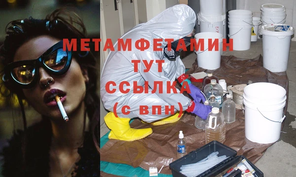 прущие грибы Снежинск