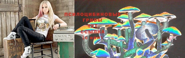 spice Белокуриха