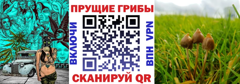 Псилоцибиновые грибы прущие грибы  дарнет шоп  маркетплейс какой сайт  Еманжелинск 